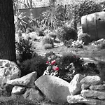 I Colli Bed & Breakfast Casalecchio Di Reno
