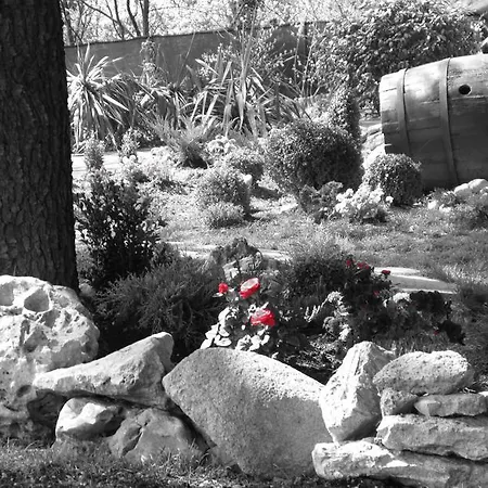 I Colli Frühstückspension Casalecchio Di Reno