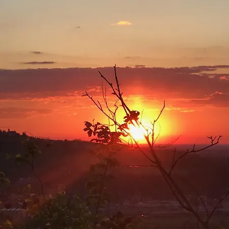I Colli Frühstückspension Casalecchio Di Reno