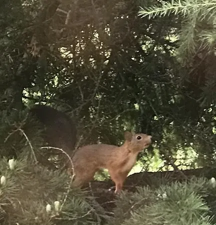 I Colli Frühstückspension