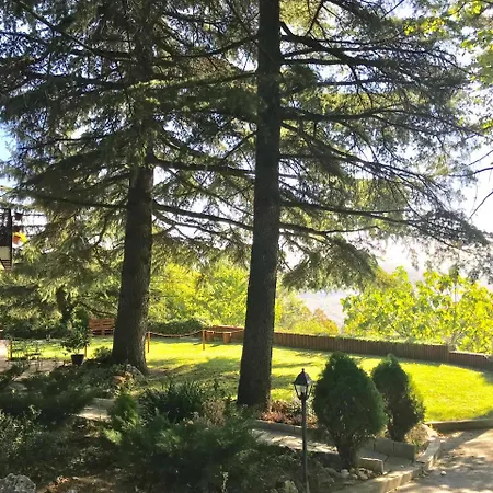 Bed & Breakfast I Colli Casalecchio Di Reno