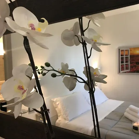 I Colli Bed and Breakfast Καζαλέκιο ντι Ρένο
