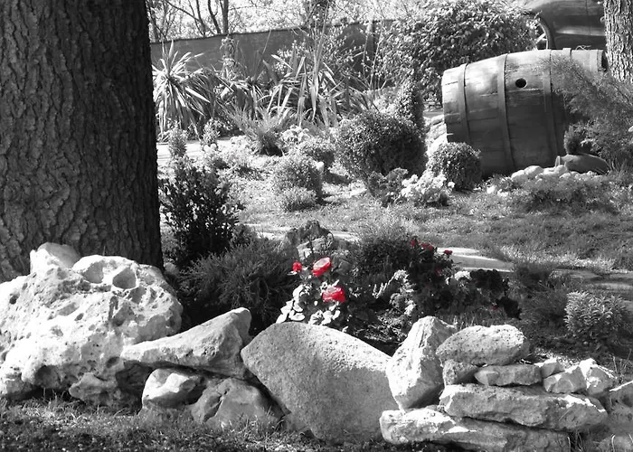 I Colli Bed & Breakfast Casalecchio Di Reno