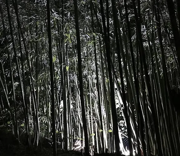 Bed & Breakfast I Colli