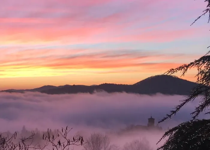 I Colli B&B 카살레키노 디 레노